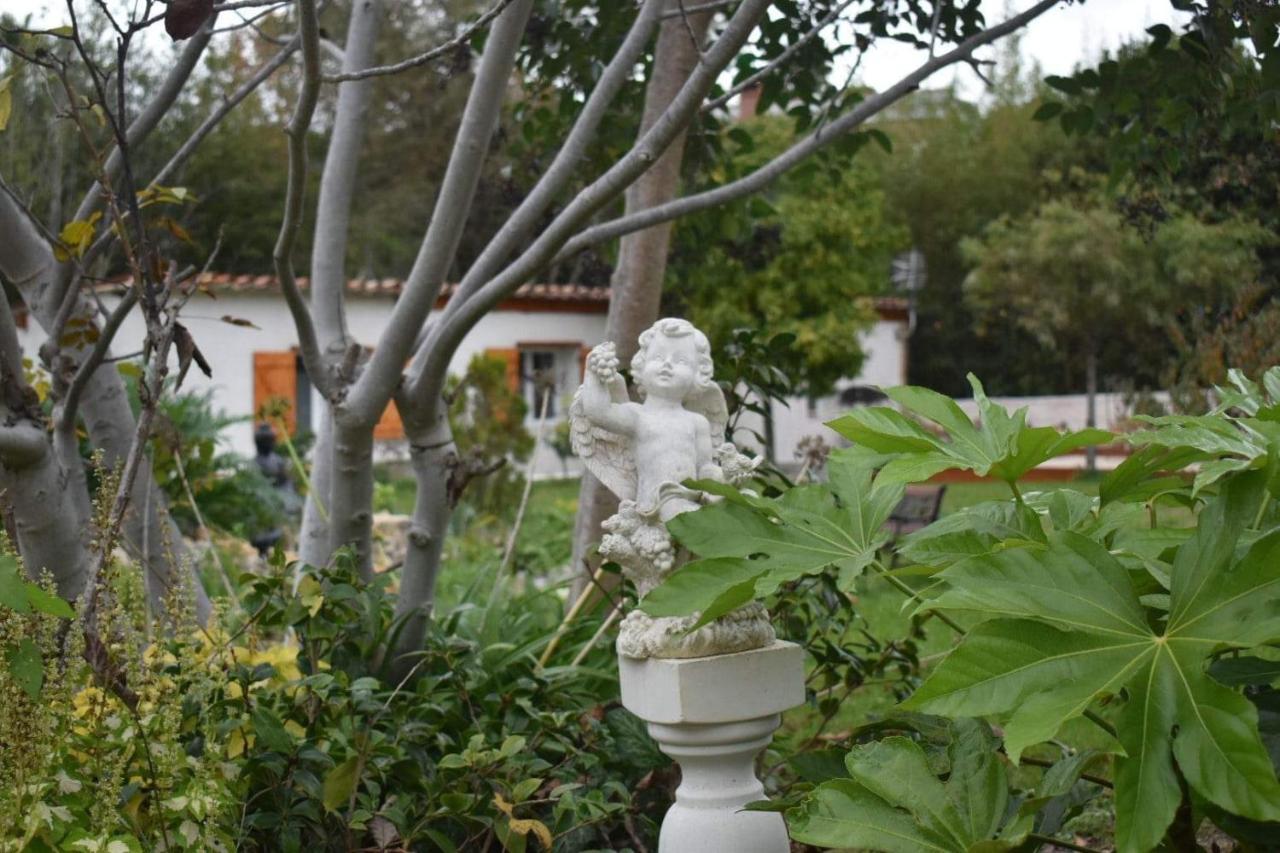 L'Oranger - Magnifique Studio Independant Sur Mougins Avec Jacuzzi Prive - Parking - Climatisation Exteriér fotografie